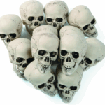Fun Express Bag of Bones Realistic Bulk Skeleton Skulls 5 Inch - Premium Halloween Skull Decor for Party, Bar & Table Decorations | White Plastic Human Skull Heads 12 Pack for Crafts & Yard Display